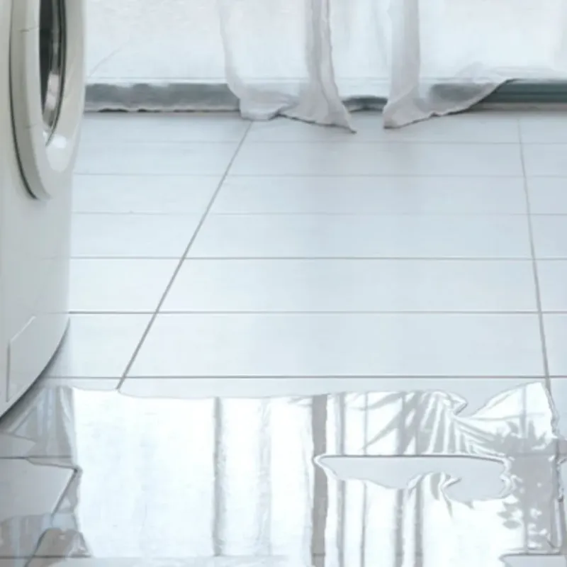 Appliance Leak Cleanup in Lucerne, CA