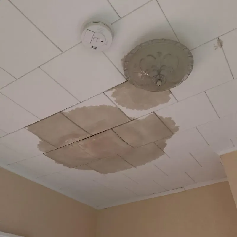 Ceiling Water Damage Repair in Lucerne, CA