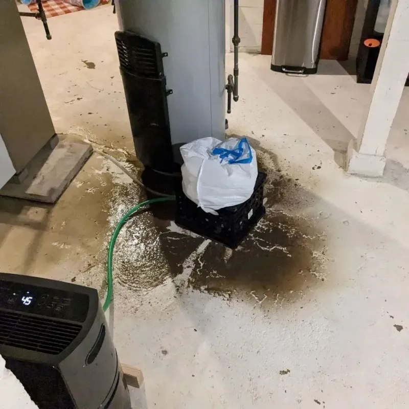 Sewage Backup Cleanup Service in Lucerne, CA